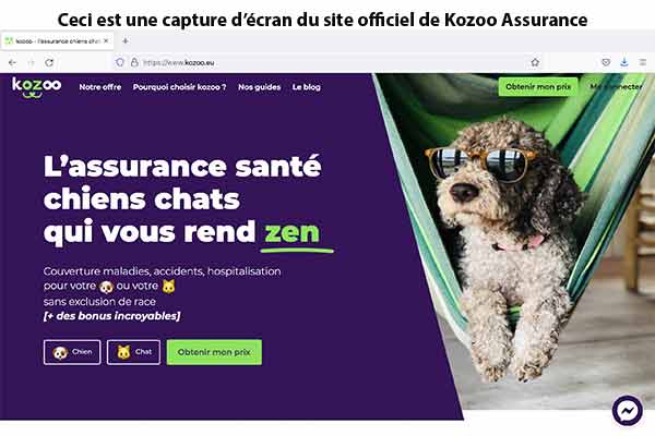 Site web Kozoo Assurance
